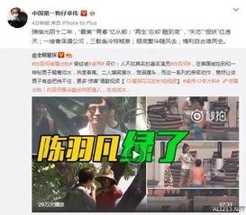 卓伟爆料桃花树下视频,桃花树下神秘视频背后的惊人真相