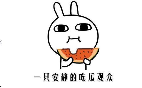 吃瓜是什么意思啊内涵,网络热词背后的社会现象与心理洞察